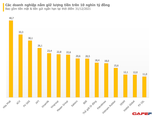 Nhiều doanh nghiệp đang nắm giữ hàng trăm triệu đến hàng tỷ USD trên bảng cân đối kế toán nhưng không biết để làm gì - Ảnh 2.